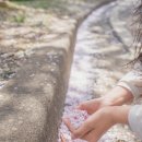 총신대학교 이미지