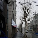 이미지안경 탄방점 네이버블로그