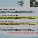 야미도유람선 선착장 이미지