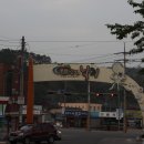 무안갯벌낙지 이미지