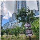 헬로소아청소년과의원 이미지