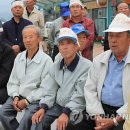 구기자 약초시장 이미지