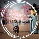 씨제이제일제당주식회사 | 부산 실내 아이와 가볼만한곳 : 부산근현대역사관 상설전시 근현대도시 부산
