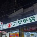 부산시청 | 부산시청 맛집 땡초똥집 세트 진짜 맛있음 고향통닭 부산시청점 포장 후기