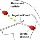 슈슈 동물병원 이미지