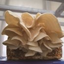 자원개발연구소 이미지