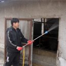 제천축산 충북일보