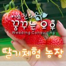 천애농장 이미지