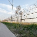 장산배수장 이미지