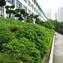 만덕초교 이미지