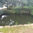 상주 용산정사 이미지