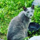 산골공작소 이미지