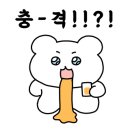 (유)진투어 이미지