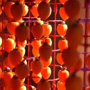 지리산곰실곶감농원 이미지