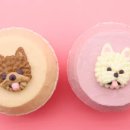 오지의 펫테이블 이미지