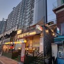 성남 애견동반 가능한 루프탑 야간카페 &#39;히든 오아시스&#39;