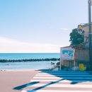 코코마요 이미지