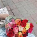 어양동-09 이미지