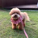 쿨펫동물병원 킨텍스점 이미지