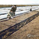 골몰농장 연합뉴스