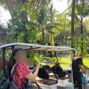 힐탑약국 이미지