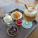 은아네농원 | 올댓커피 운정 / 짱구 키링템 / 로이드 랩다이아 반지 시착 / 레푸스에서 굳은살 제거 / 폭군의쉐프...