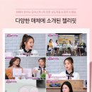 모어스키니