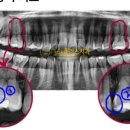 에코플러스치과의원 이미지