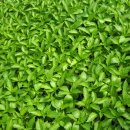 안녕농장 이미지