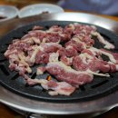 숲속의오리
