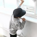 골든피쉬