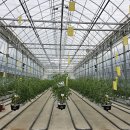 대상베드 이미지