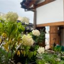 카페파르페 이미지