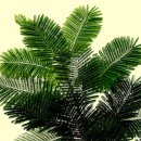 작은정원 이미지