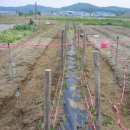 천석농장 이미지