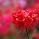 동산농장 이미지