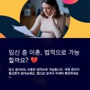 미추홀구가정폭력상담소 | 임신 중 이혼 소송 현실 조언과 법적 대응