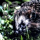 국수나무 세교점 이미지