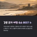 게스트하우스 | 강릉 혼자 여행 숙소 추천, 너와 게스트하우스 후기