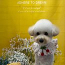 댕곤댕곤 이미지