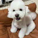 개운하개 이미지