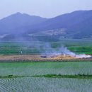 예산읍018 네이버블로그