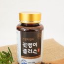 고창굼벵이