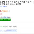 개웃기냥
