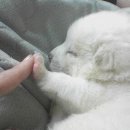 필드메뉴