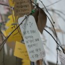 양지비상에듀기숙학원 이미지