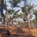 경주시산림조합