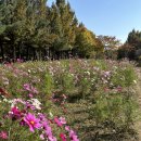 곰작골 나주곰탕 상암MBC몰점 이미지