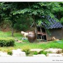 죽장지하수