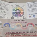 내몸친환경 | '일소피해 극복 친환경 비료 SET' 로 고추 토마토 텃밭 가꾸기 대성공 비포 애프터 후기